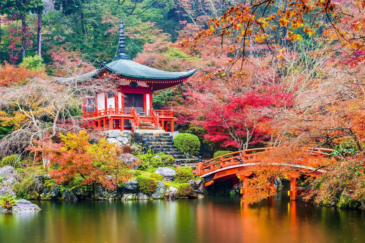 Japón y sus mil caras