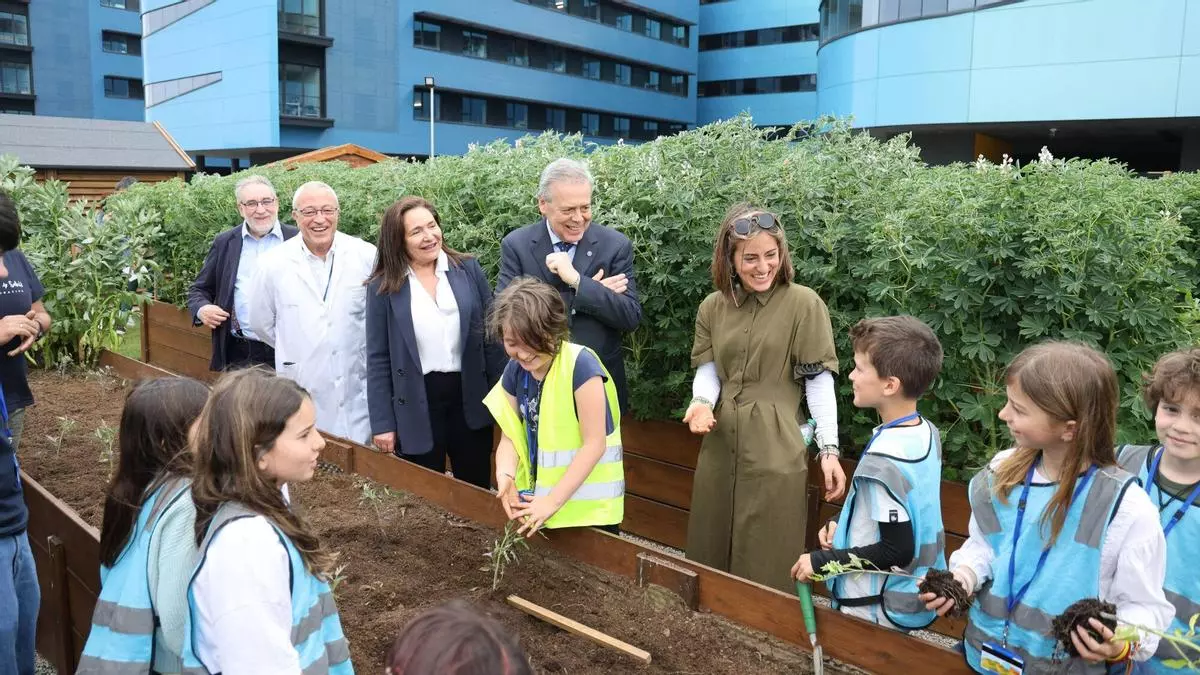 La primera cosecha de la huerta del hospital Álvaro Cunqueiro, a la mesa de las Misioneras del Silencio