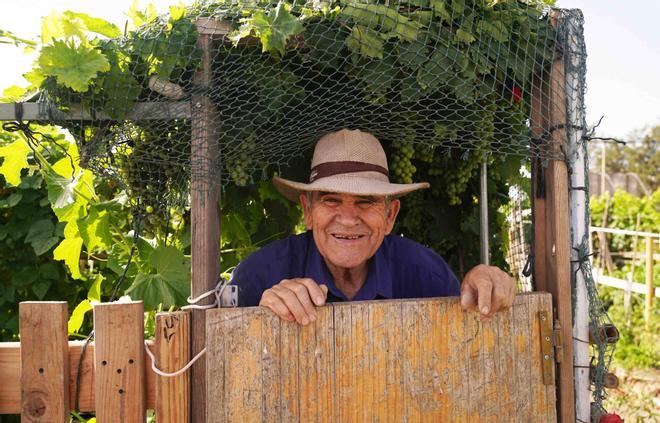 El huerto urbano más grande de Málaga cumple 10 años