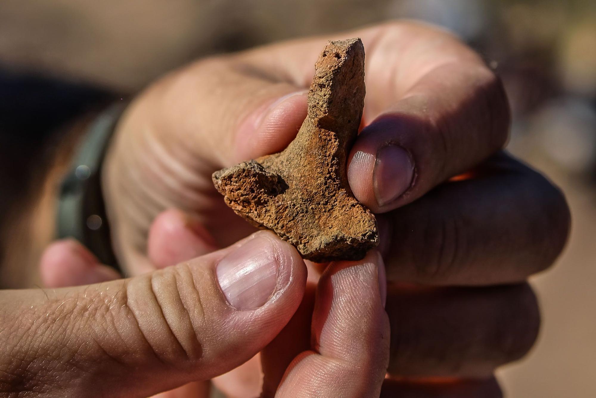 Últimos hallazgos en La Fortaleza