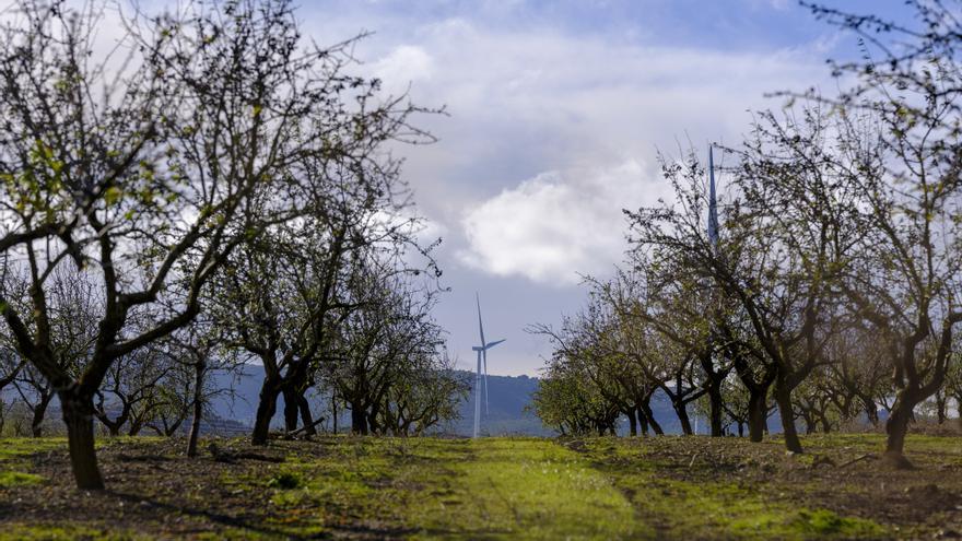 Forestalia convierte el viento de Aragón en motor de recuperación