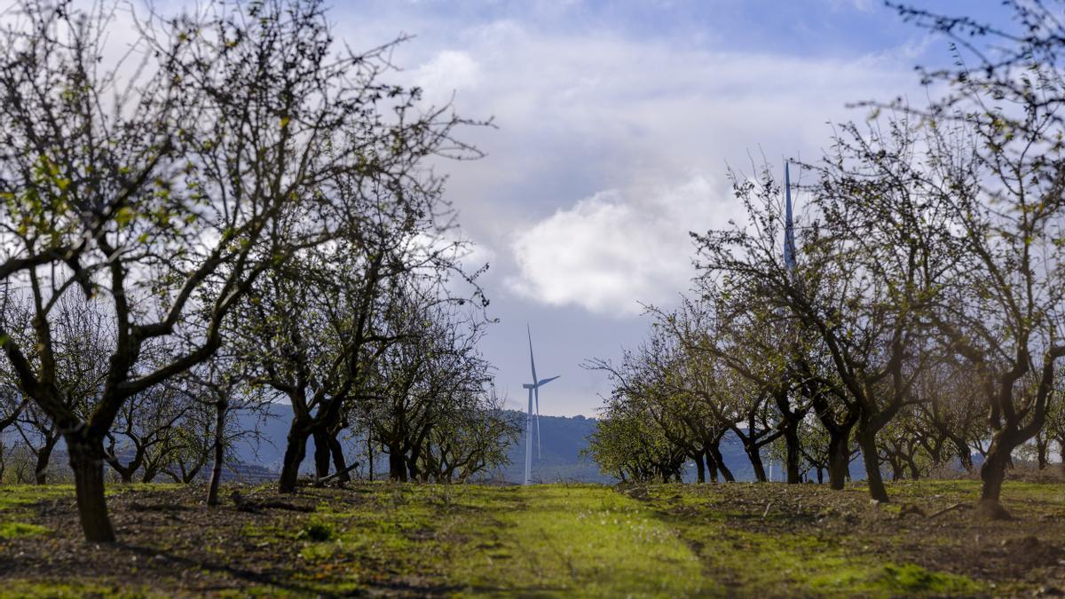 Parque eólico de Forestalia junto a campos de cultivo de frutales en territorio aragonés.