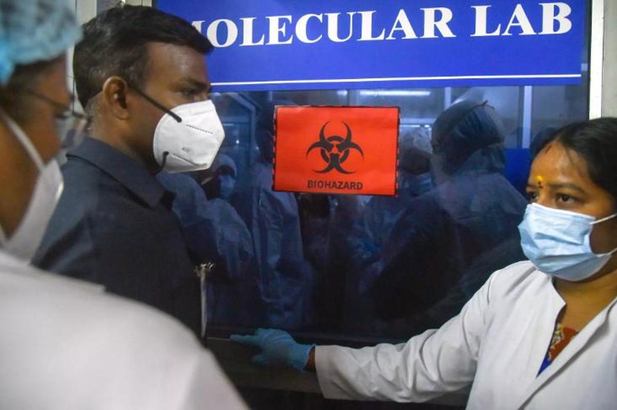L'OMS considera "baix" el risc d'expansió del letal virus Nipah després de l'alerta a l'Índia