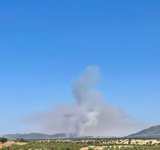 Declaran el nivel 1 en un incendio forestal en Benquerencia de la Serena