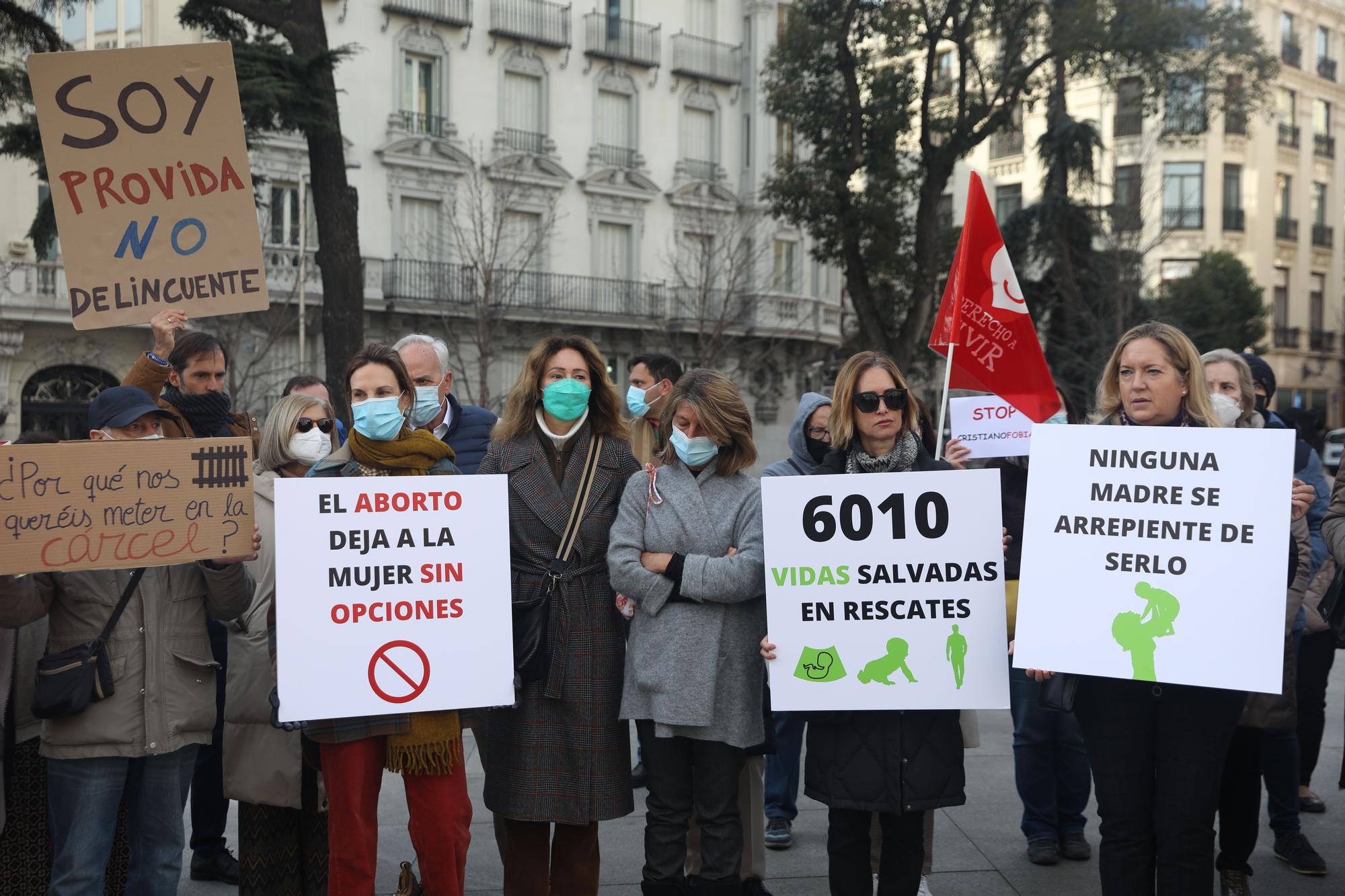 Varias personas autodenominadas &quot;provida&quot; se manifiestan contra el aborto frente al Congreso de los Diputados.