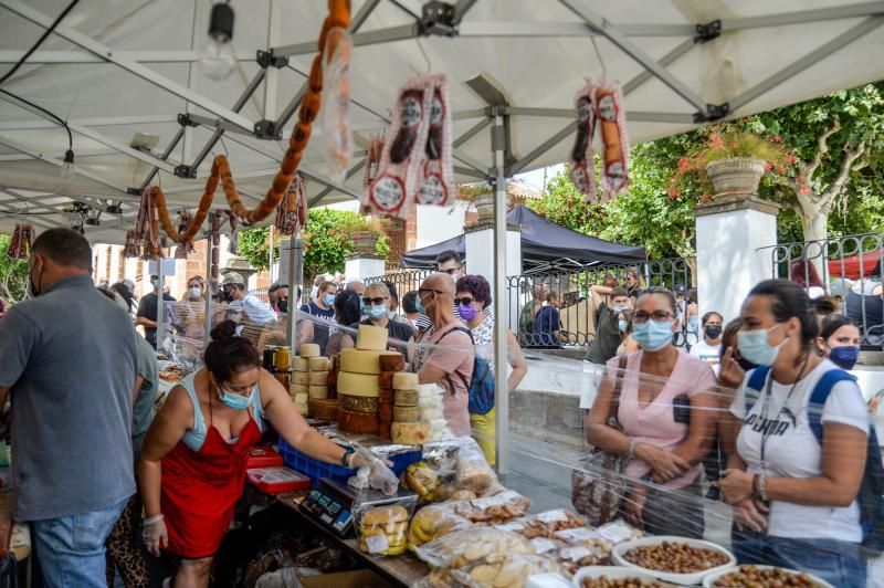 Dia del Pino: peregrinos llegando y visitando a Teror