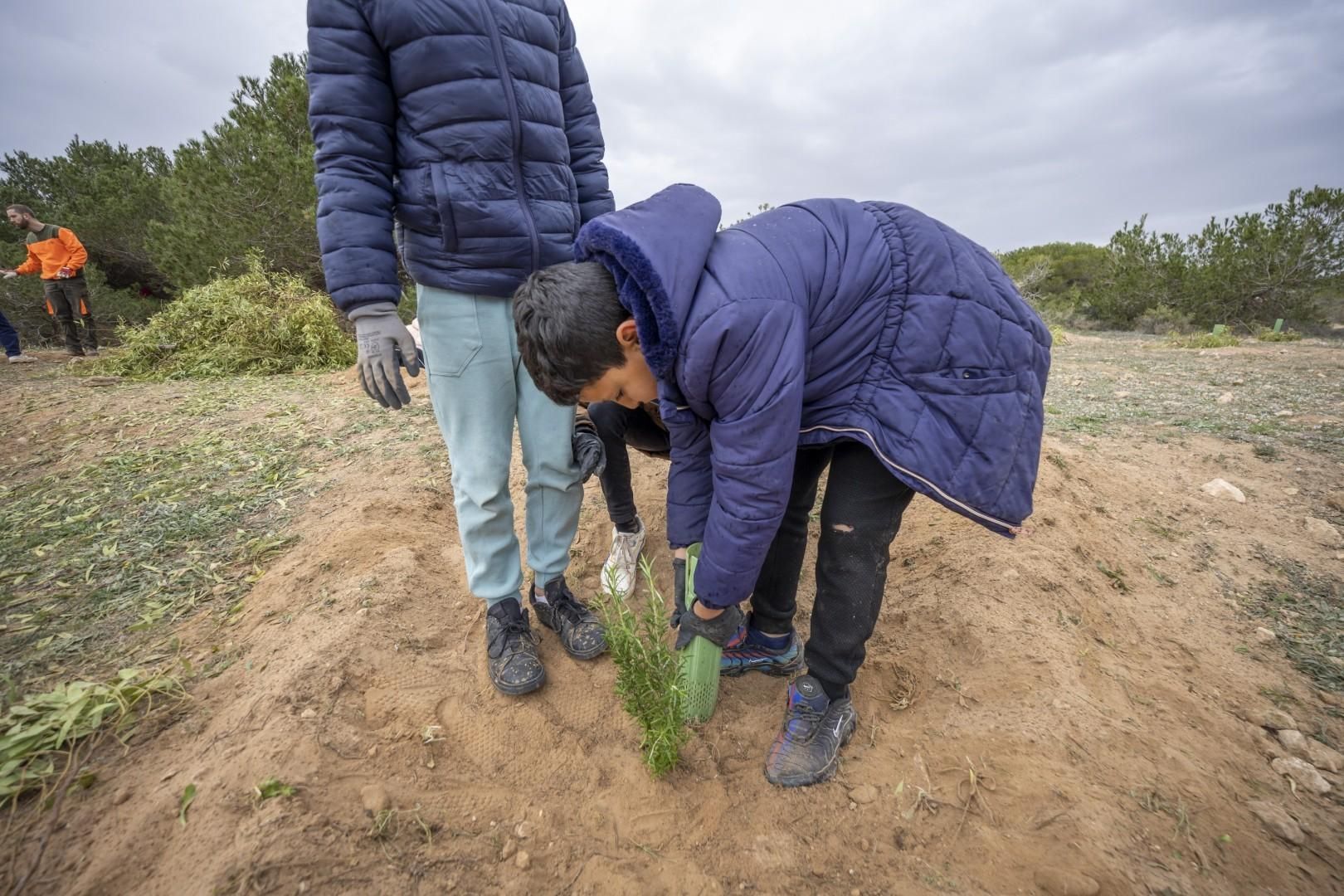 Jornada escolar plantación de especies autóctonas junto al parque natural de las lagunas de Torrevieja y La Mata