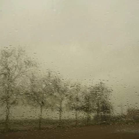 La lluvia cubre el cristal del parabrisas del coche y desdibuja el paisaje.