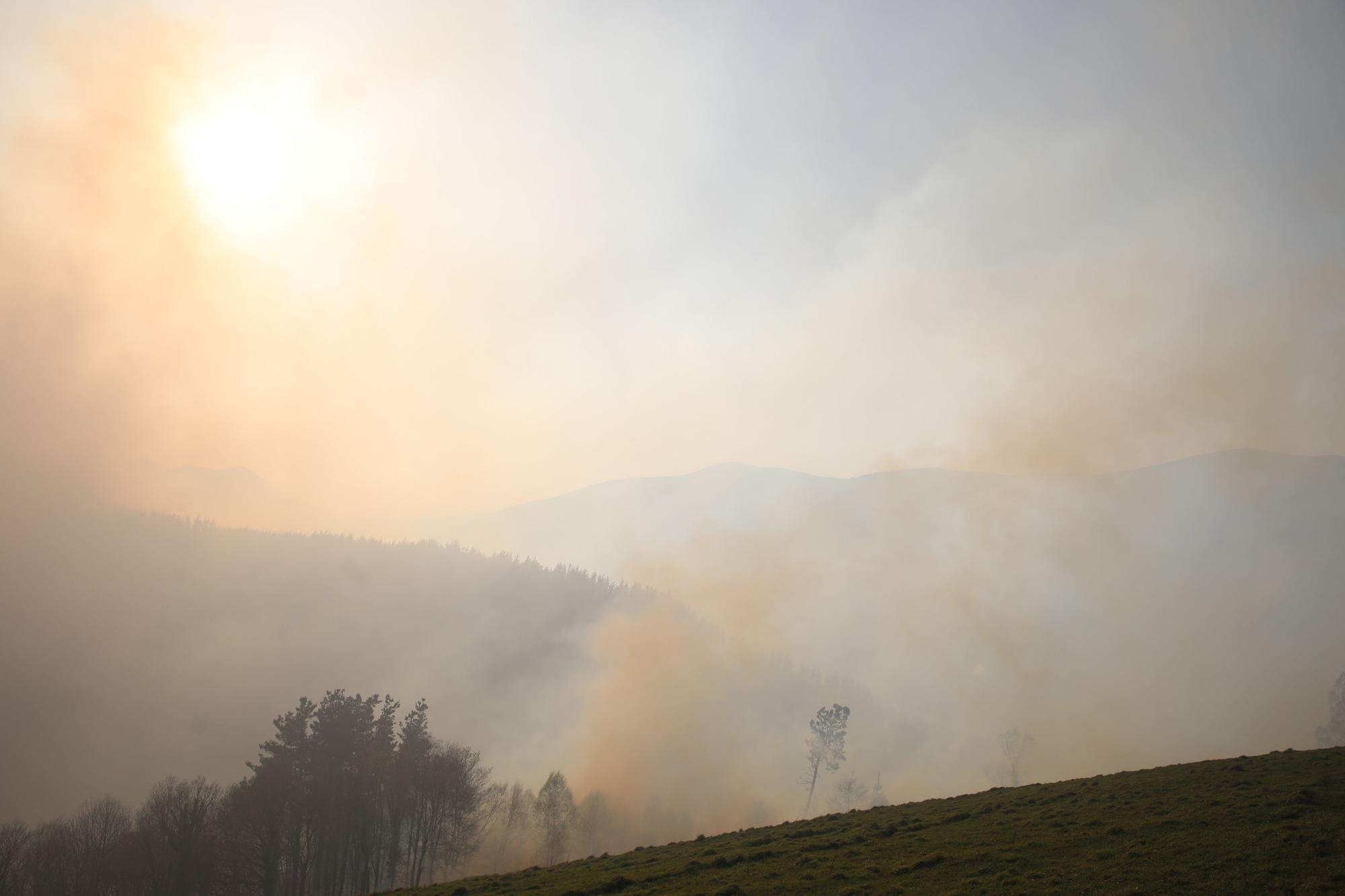 Las imágenes del preocupante incendio en Tineo