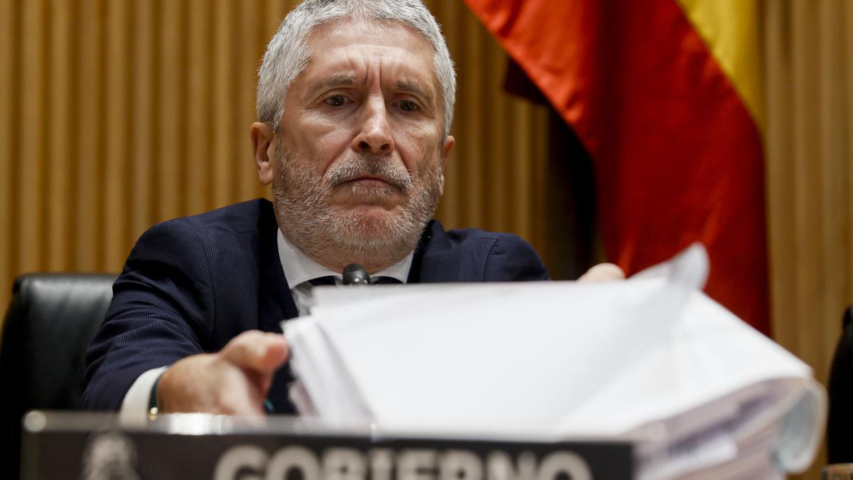 Comparecencia en el Congreso del ministro del Interior, Fernando Grande-Marlaska