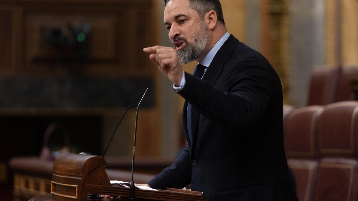 El presidente de Vox, Santiago Abascal, en una intervención en el Congreso de los Diputados.