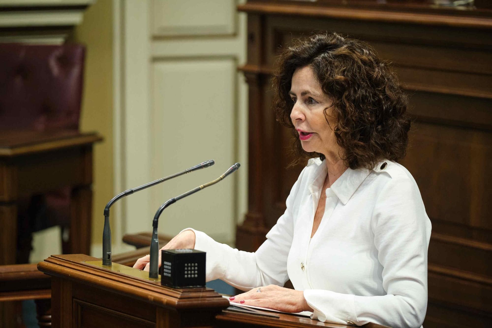 Sesión plenaria del Parlamento de Canarias.