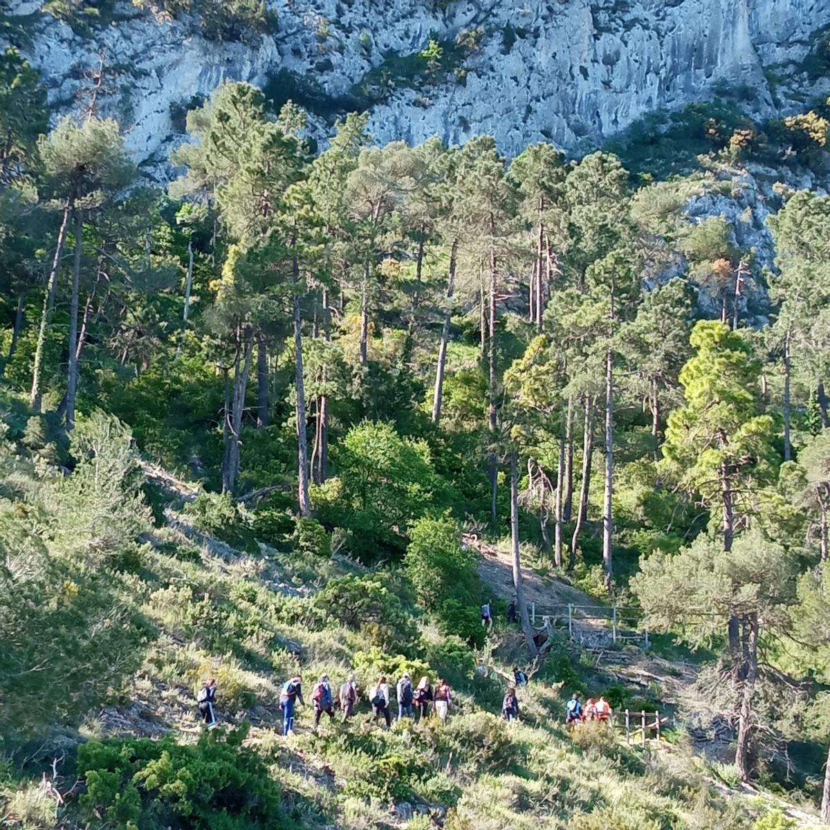 Maestros y familias de colegios rurales agrupados en la subida al Benicadell, acción por la huelga educativa.