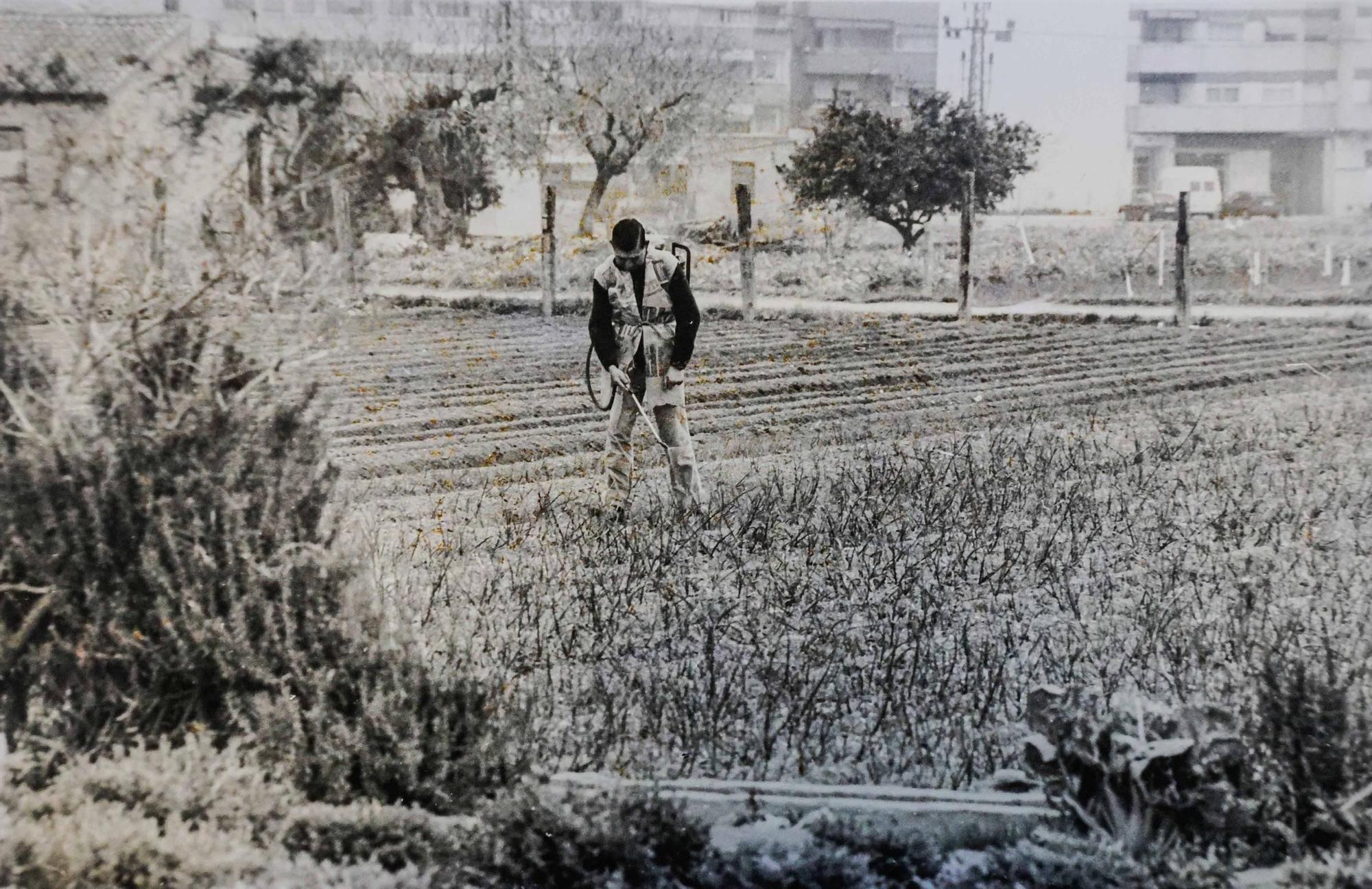 La Valencia desaparecida: Todo esto antes era huerta