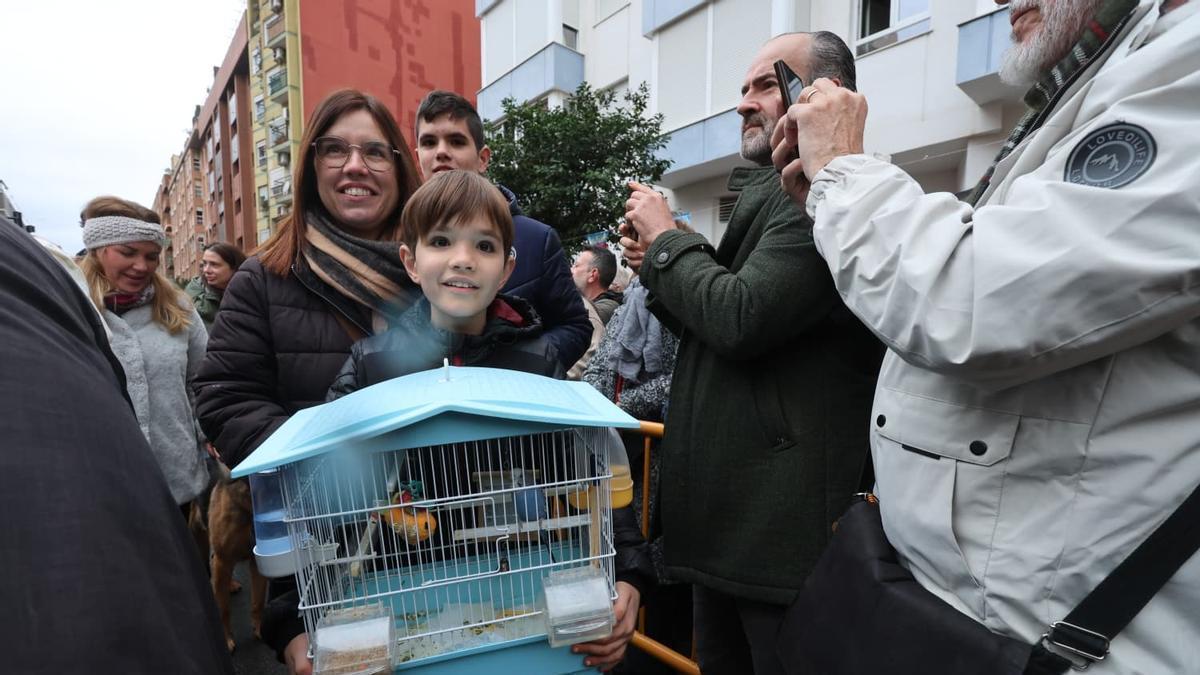 Bendición de animales por Sant Antoni en la calle Sagunt de València