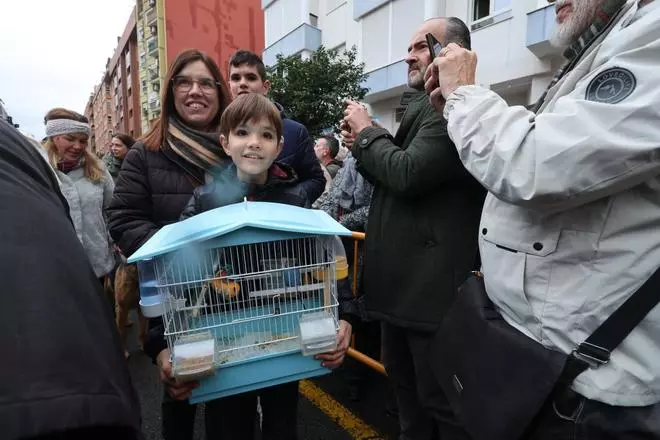 Bendición de animales por Sant Antoni en la calle Sagunt de València