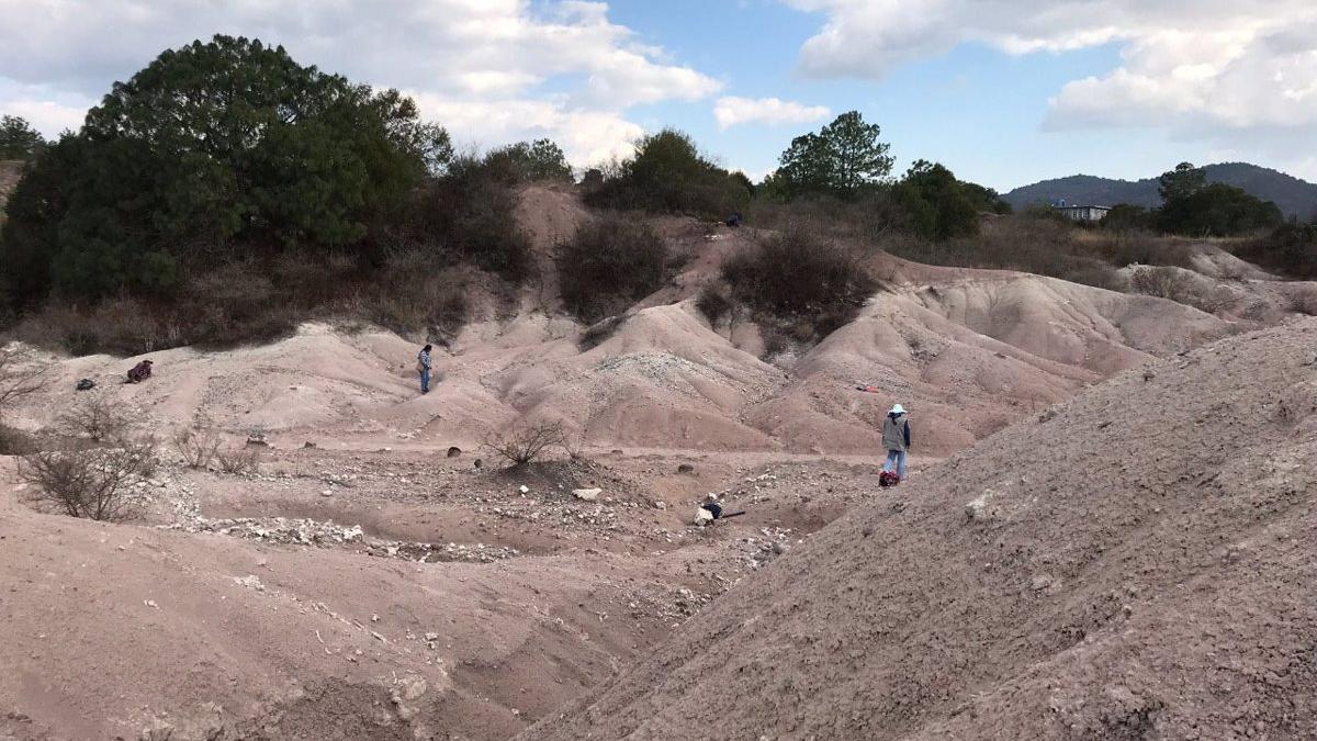 El yacimiento mexicano en el que ha sido descubierto el fósil.