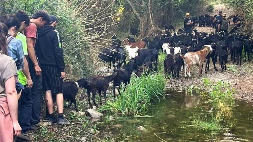 L'Escola Agrària de Manresa obre el període per apuntar-se als estudis d'Agroecologia i Medi Rural
