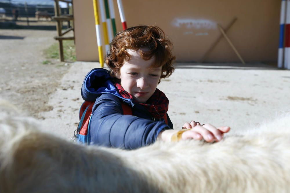 Großeltern und Enkel auf dem Pferd