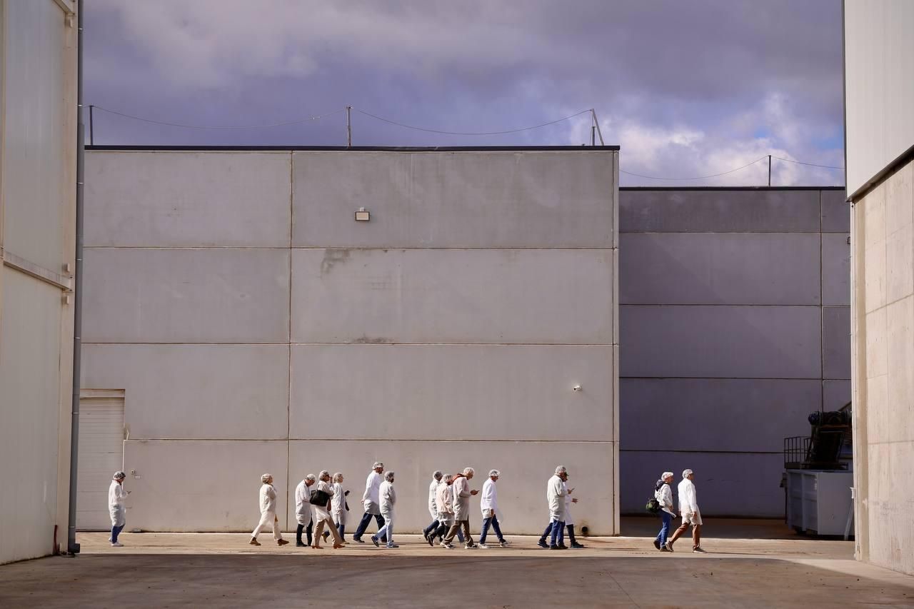 La nueva planta de almedras de Dcoop en Córdoba, en imágenes
