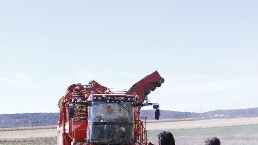 Agricultores estribados en un pozo durante la cosecha.