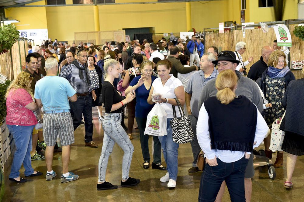 Feria de la fresa de Valsequillo, 2017