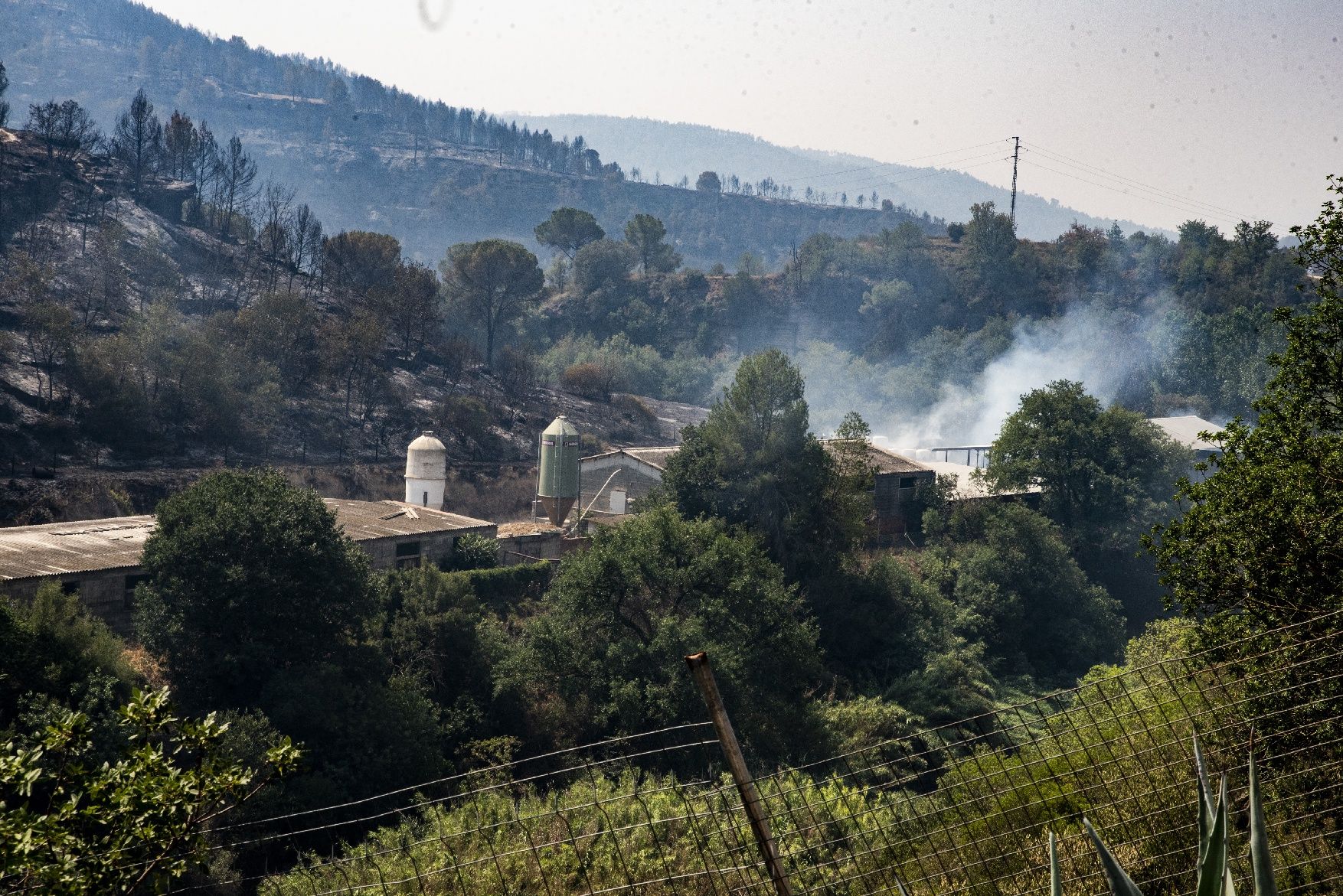 Afectació per l'incendi a la urbanització de les Brucardes