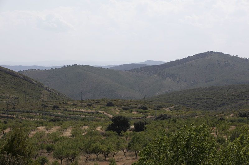 Andilla y Oset: Diez años después del incendio