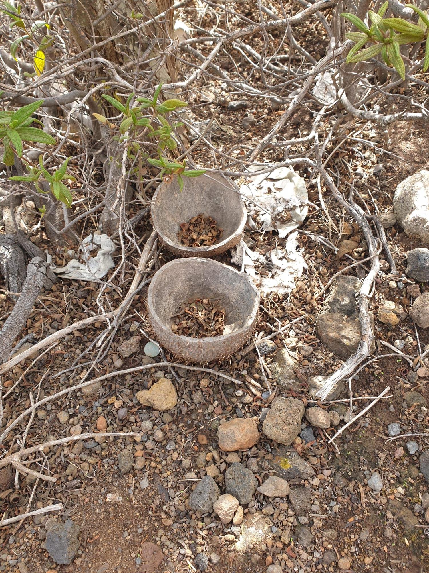 Santería en Tenerife