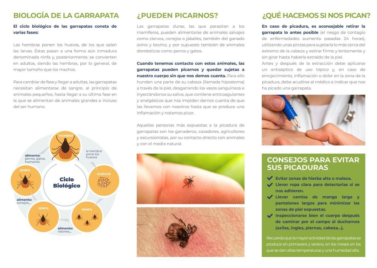 Parte de la campaña informativa difundida por el Ayuntamiento.