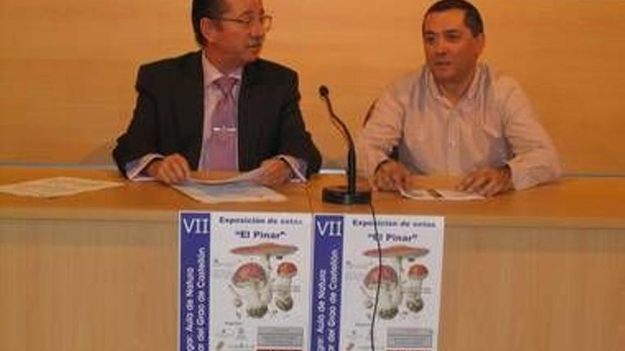 Las VII Jornadas Micológicas del Pinar aúnan “las actividades científicas sobre las setas con el ocio familiar”