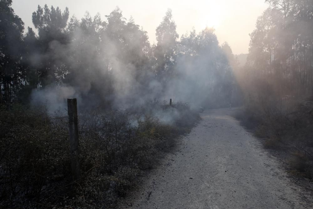 Los medios de lucha contra incendios han conseguido estabilizar el fuego y ha sido desactivada la situación de alerta. Alberto Núñez Feijóo estuvo ayer en Arbo para seguir las labores de los profesion