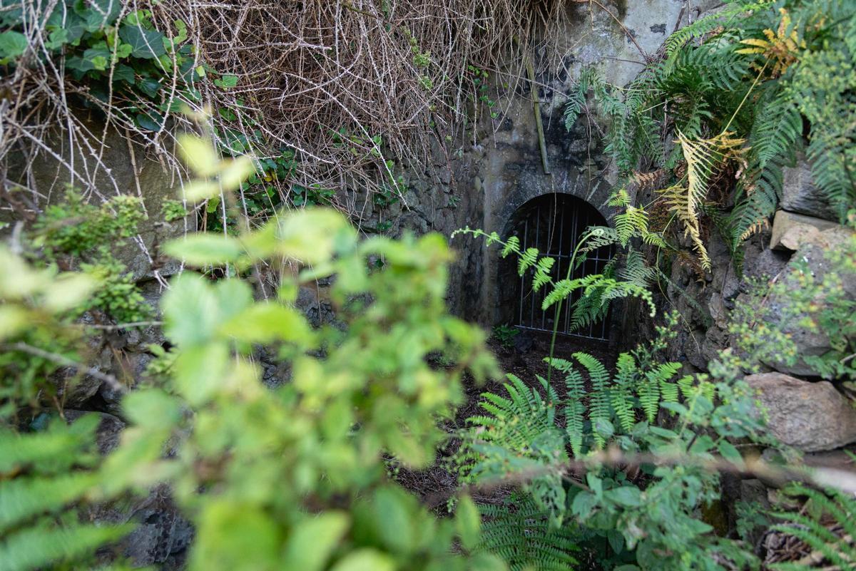 Tenerife Vaciada: Hoya de Pablos, Los Realejos