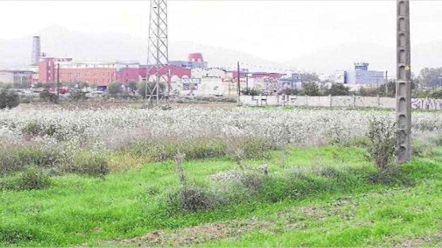 Els terrenys entre Vilablareix i Salt, al costat de la zona comercial de l&#039;Espai Gironès, eren el principal objectiu.