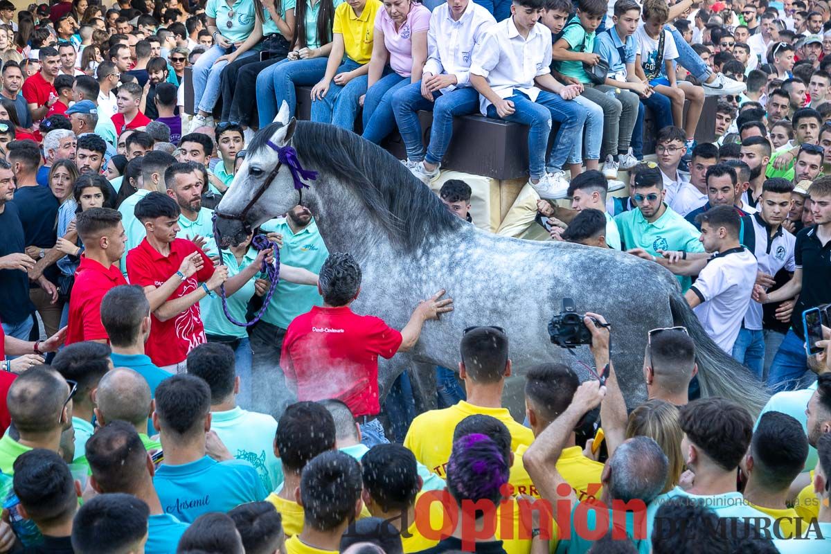 Entrega de premios del concurso morfológico de los Caballos del Vino de Caravaca