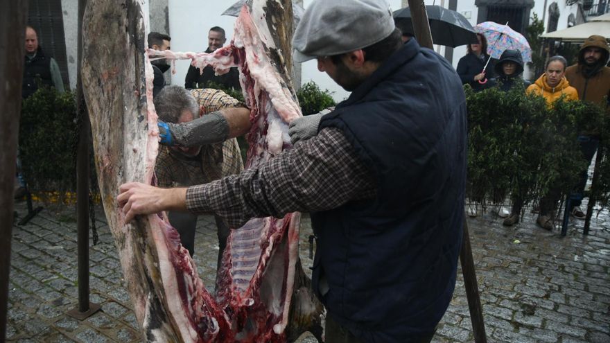 Gastronomía, música y rutas convivirán este fin de semana en la Fiesta de la Matanza de Alcaracejos