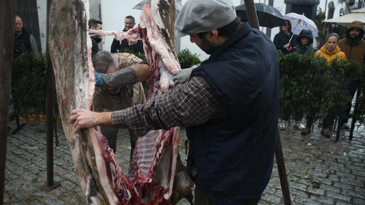 Despiezado del cerdo ibérico en una edición anterior de la fiesta.