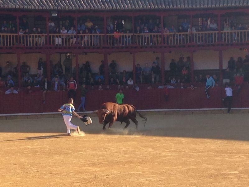 Toro de cajón y encierro urbano en Toro