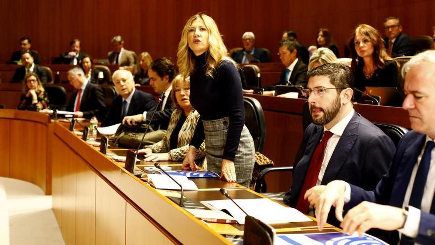 El Gobierno de Aragón presentará un recurso de inconstitucionalidad contra la ley de Amnistía