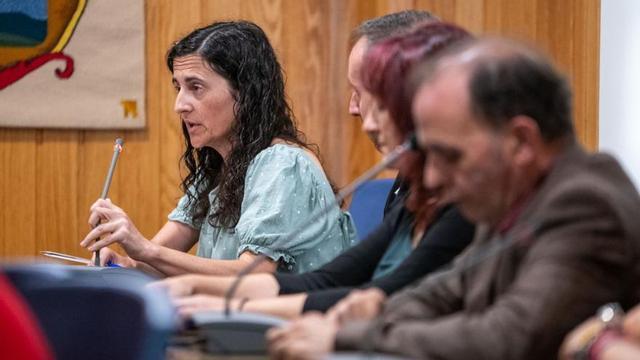 La concejala de Economía, Hacienda y Régimen Interior, en un pleno. |   // ARCAY/ROLLER AGENCIA