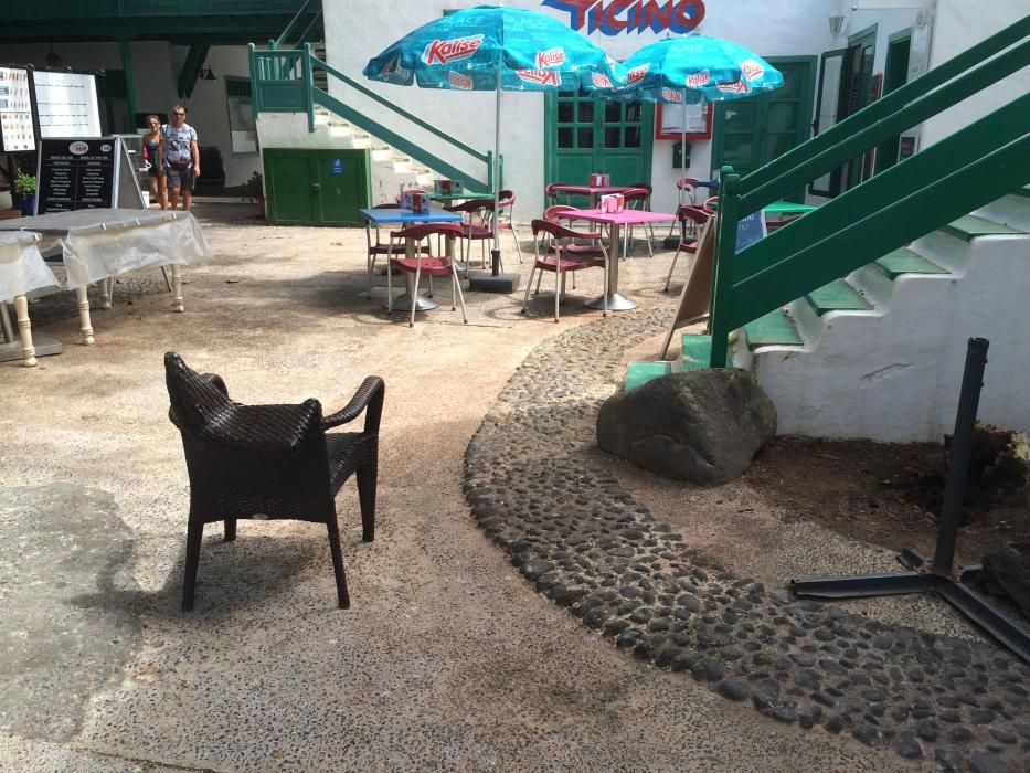 Caída de un árbol en Costa Teguise