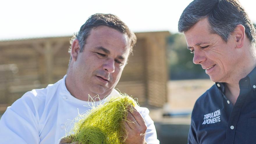 El "cereal marino" de Ángel León, Premio Nacional de Innovación Gastronómica.