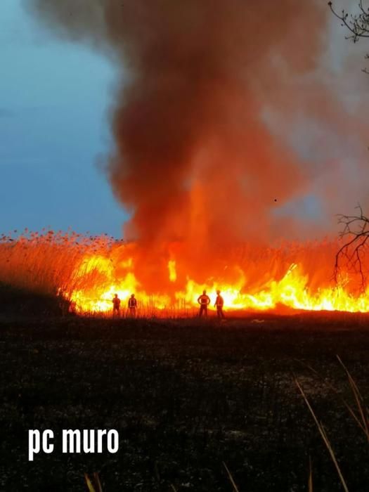 Nächtlicher Brand in S'Albufera schreckt Anwohner auf