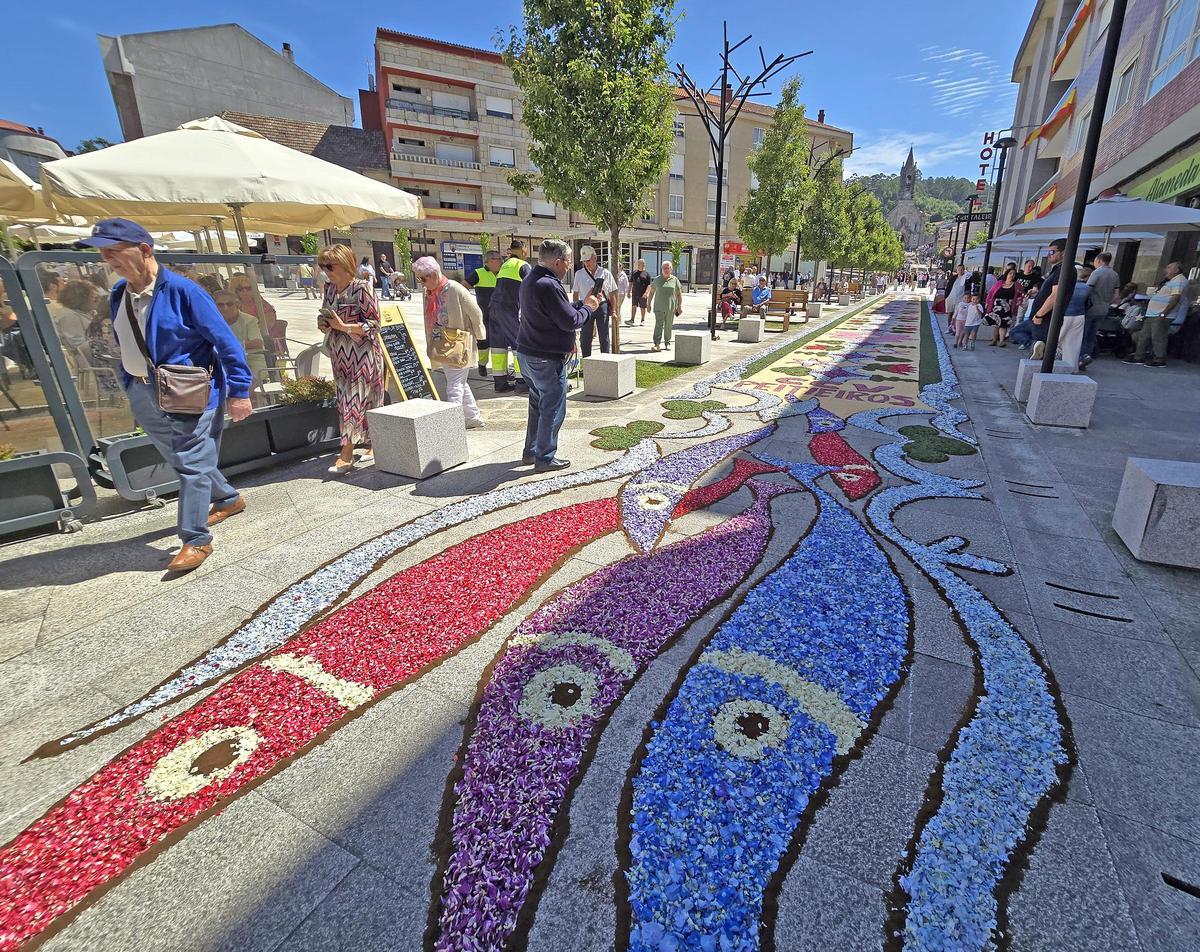 El Corpus Christi de Gondomar con su singular escalera floral El Corpus Christi de Gondomar con su singular escalera floral