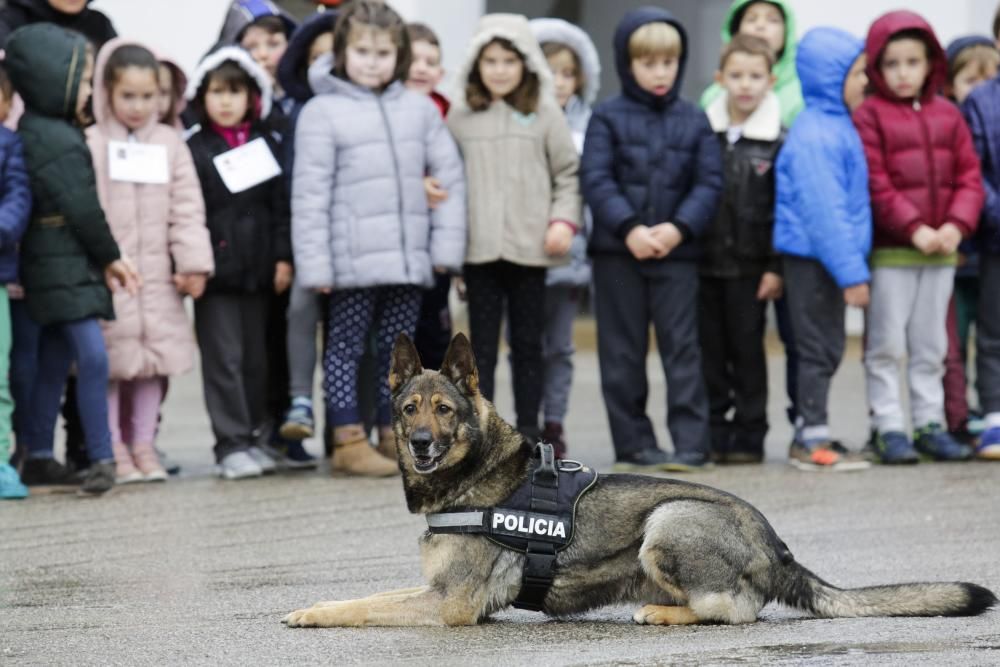 Exhibición policial para escolares.