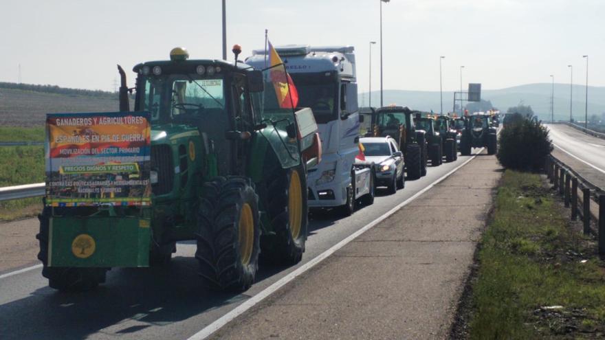 Llegada de los tractores al Arenal