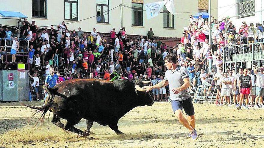 Los taurinos de Castellón crean la Ruta del Bou para promover ganadería y cultura