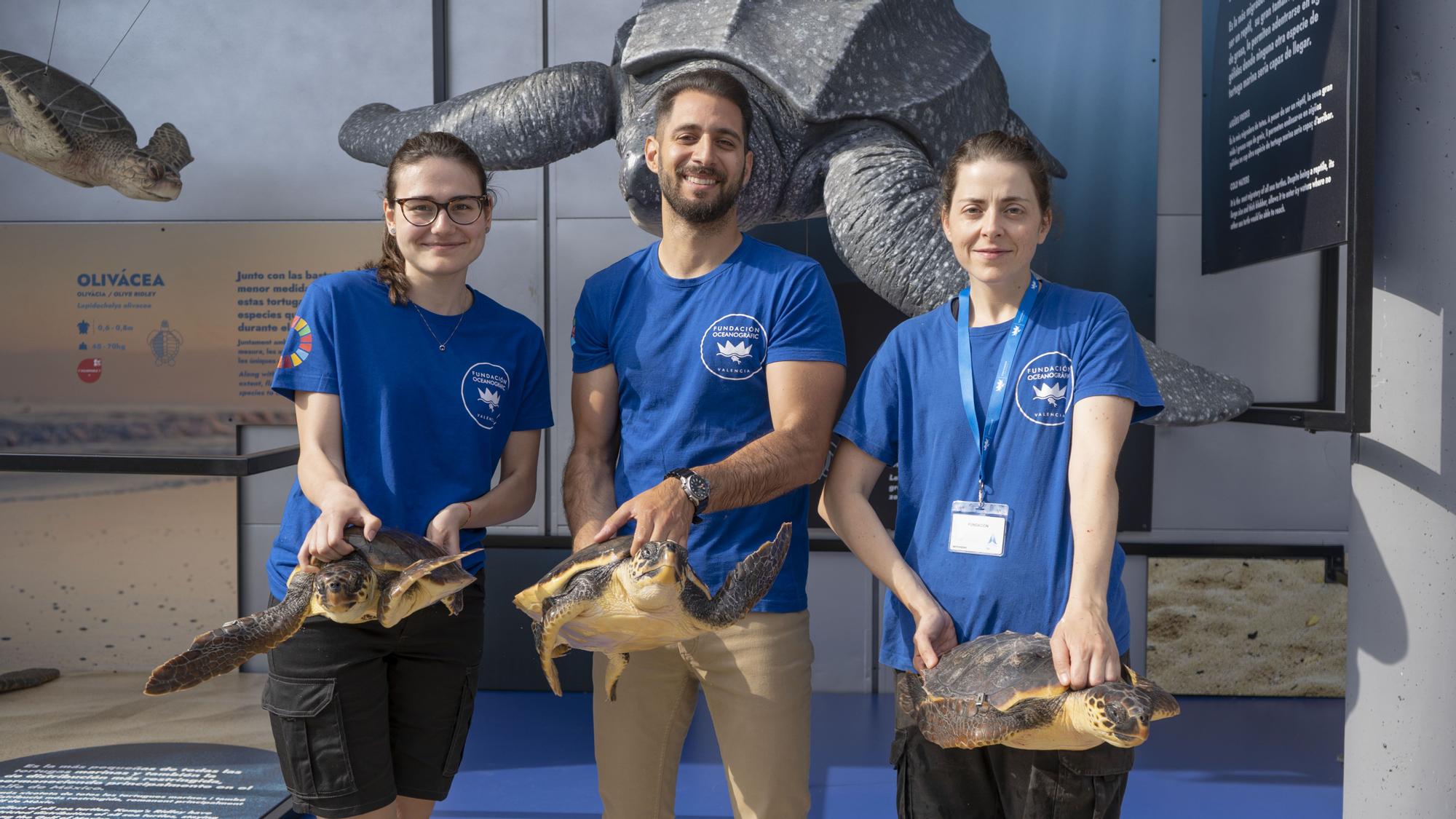 Cuidar els oceans amb l'Oceanogràfic