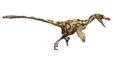 Catalunya va ser l’últim paradís europeu dels dinosaures carnívors just abans de la seva extinció