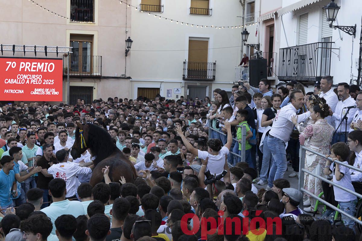 Fiestas de Caravaca | Entrega de premios del concurso morfológico